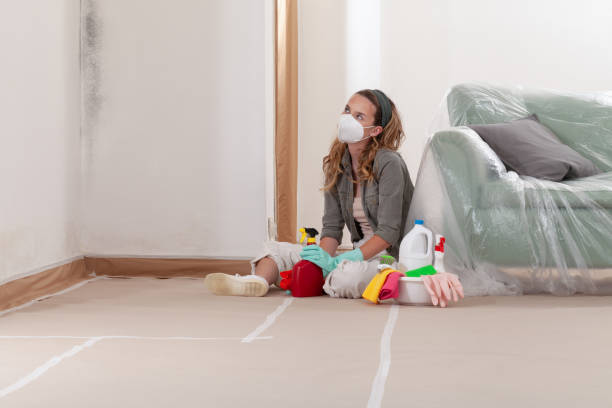 Reliable Mold Cleanup contractor in McClure, PA by Cheap Mold Removal